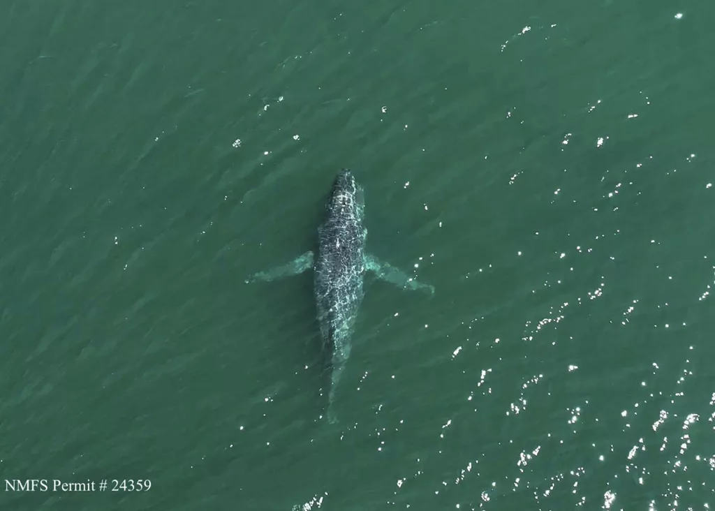 1722637097969565fxgfctqd8q-apn856103