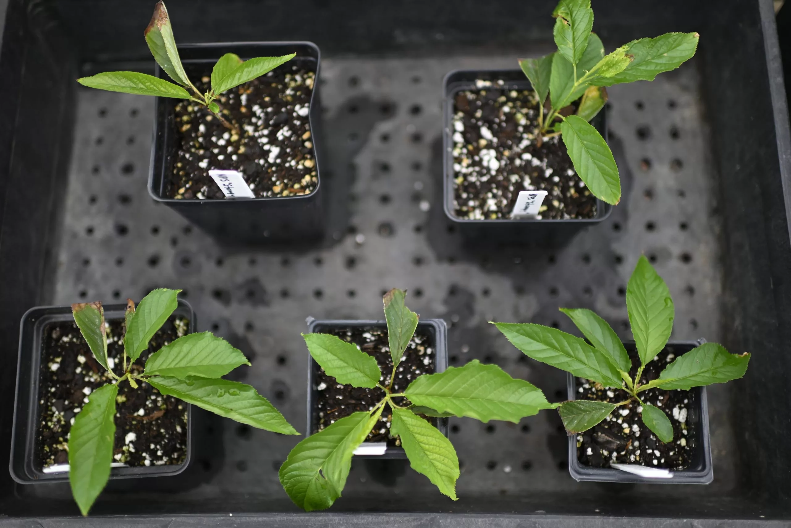 1723767488310138odpz9s0uxq-apn-scaled547256