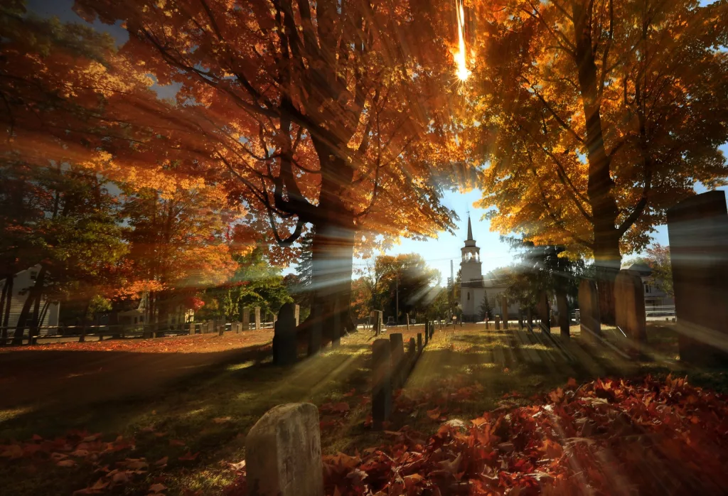 1726892308214013w7mlg9ybyf-apn-scaled336148