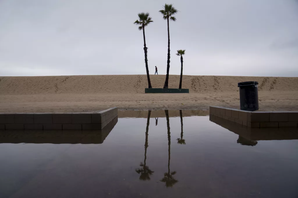 1732018688552638jgeglvxku5-apn-scaled736033