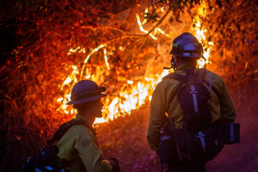 wildfires-in-los-angeles-2