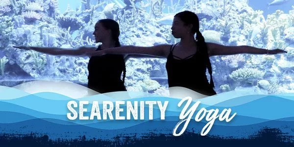 2025_wow_searenityyoga_emailheader_600x300-jpg