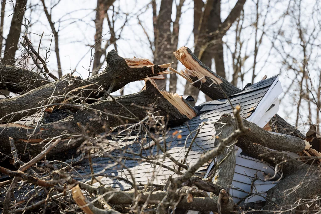 1743571100403706bcatezeuxn-apn-scaled149530