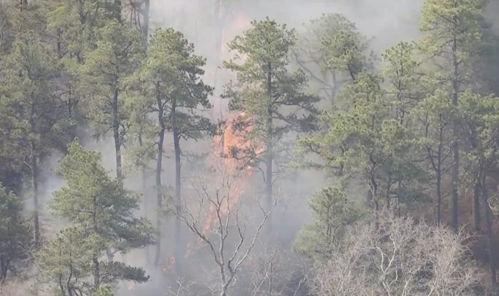 1745587098502439mw3bgdfnq6-apn-scaled346538