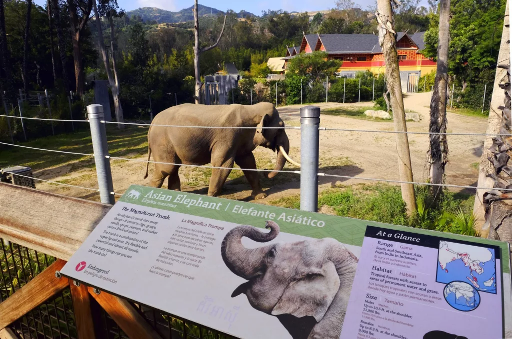 1747855110165883qi8ktiygwk-apn-scaled728403