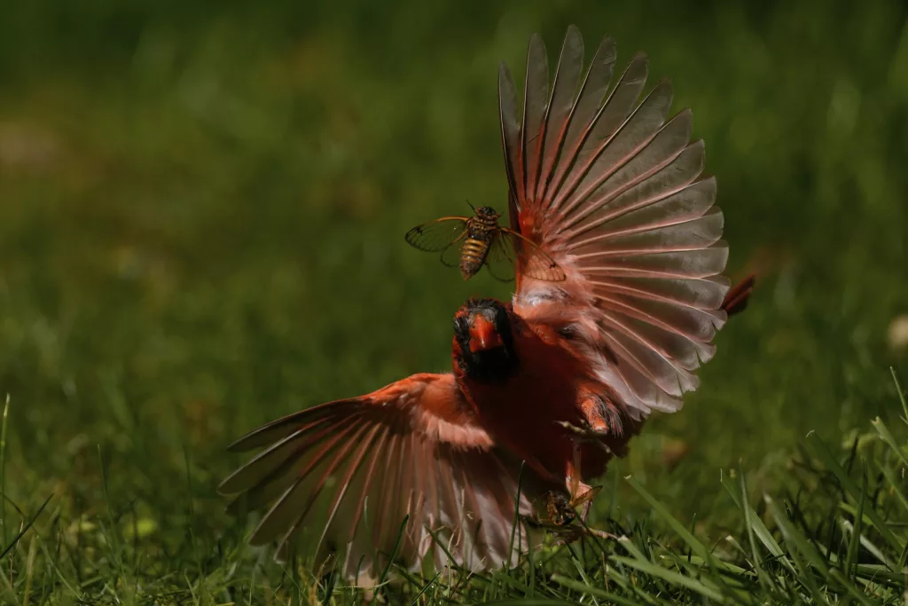 1748603892915627upmpjwf8nw-apn-scaled234423