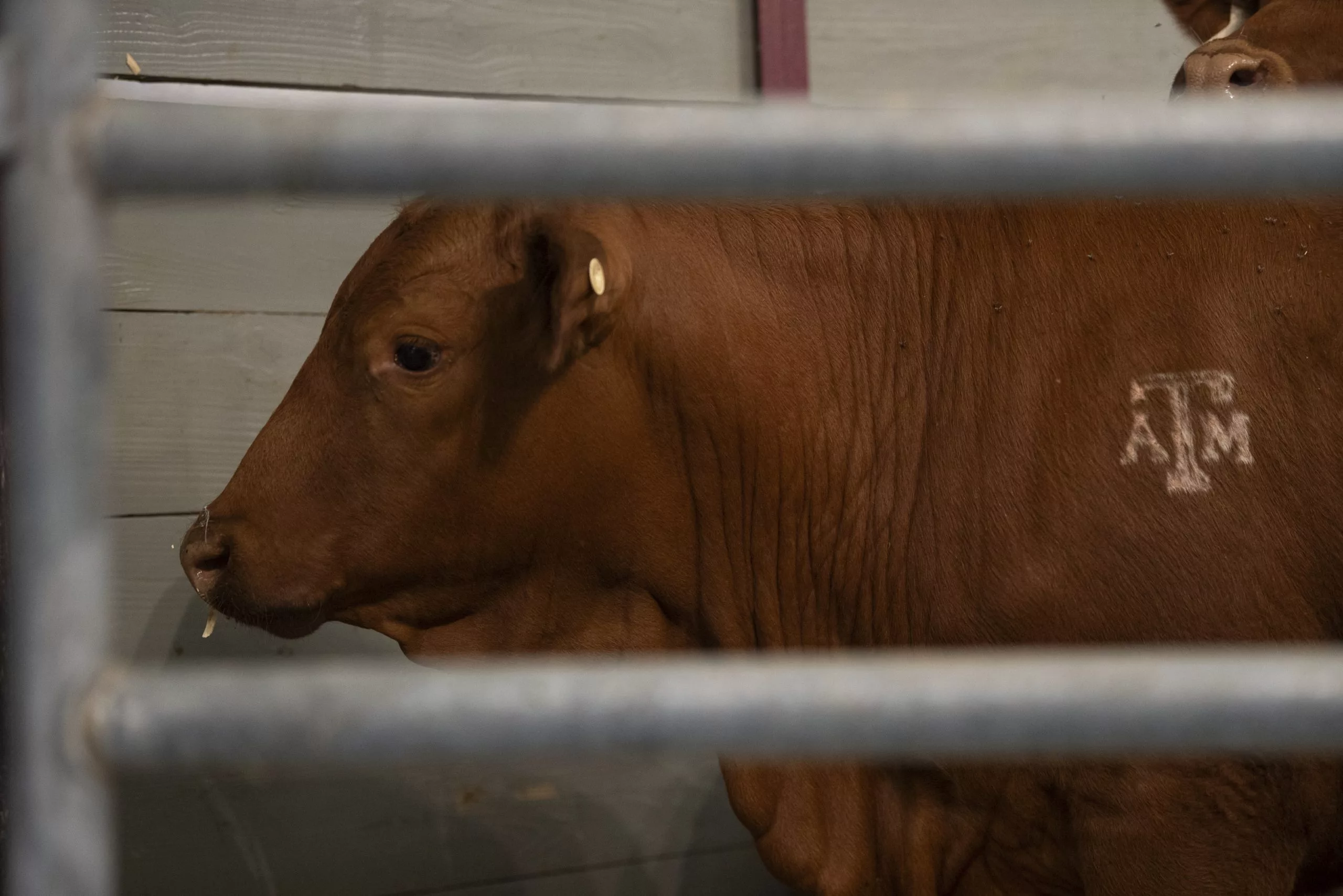 1751336300874692h8f8ublbld-apn-scaled322573