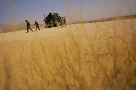 174981272261705tqifpccmhl331694