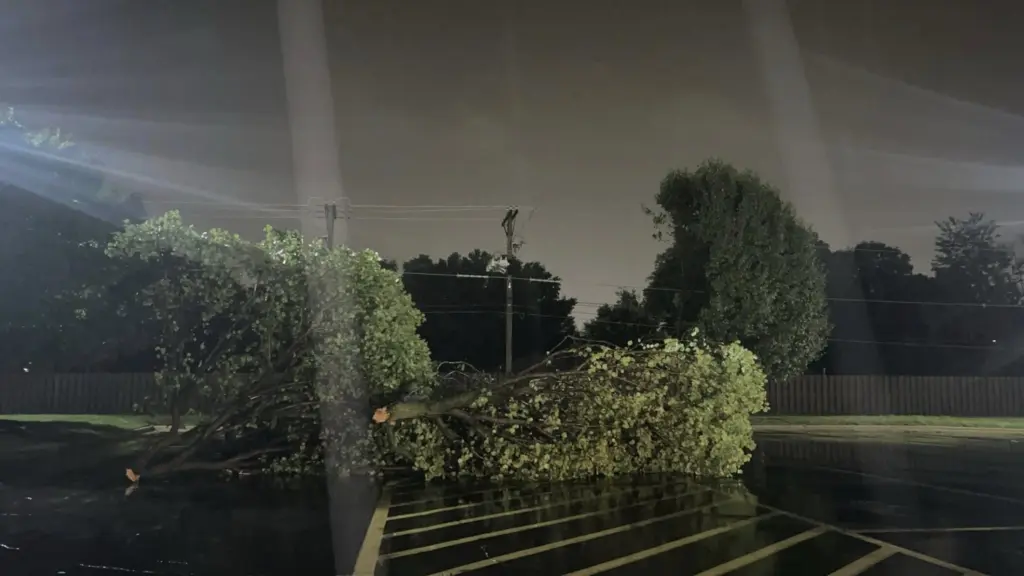 513869262_4050511345208199_940312627597023922_n