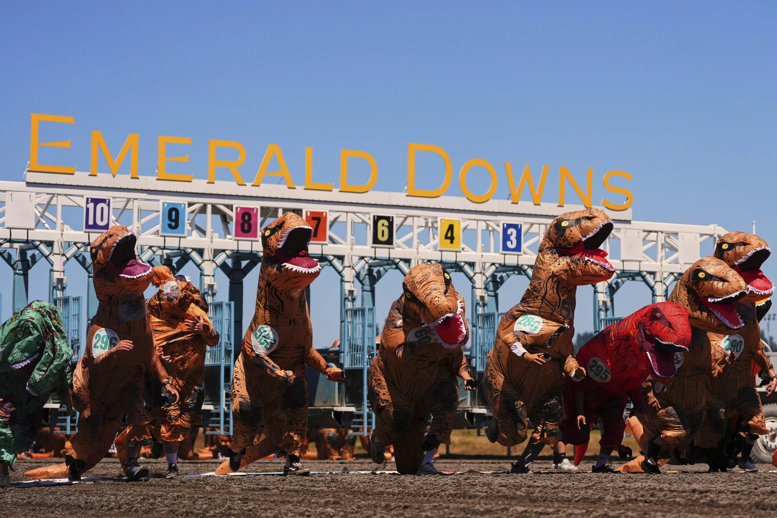 175135789549635j9jm0j3hhk-apn-scaled870237