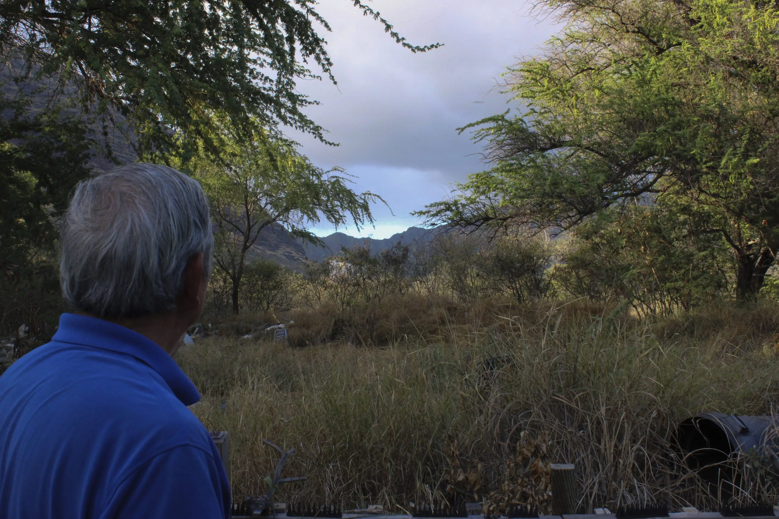 175229391487811dz2vzyygbr-apn-scaled193043