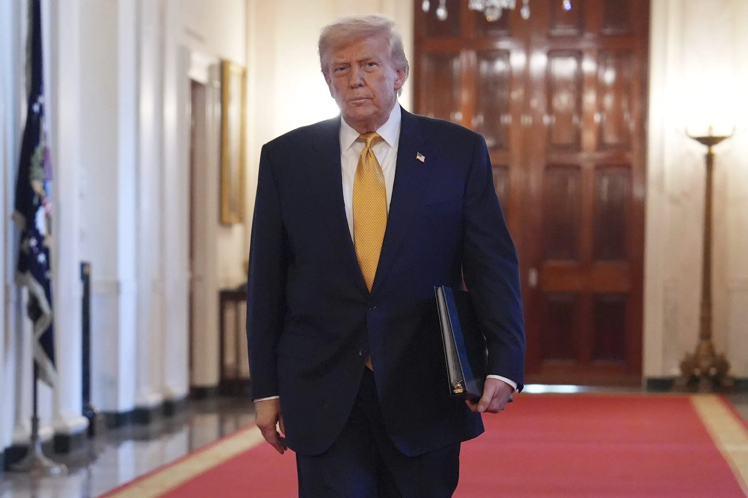 17527114918179717pumqf0l7p-apn-scaled116865