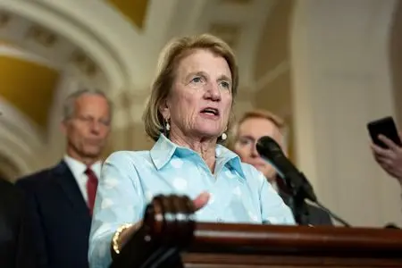 1752725126260584zepnguarpk13932