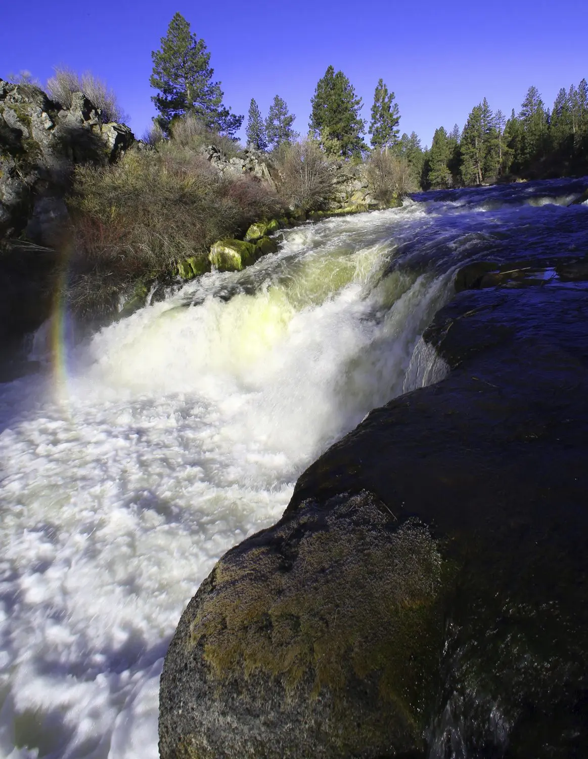 1753039102780409k4qogvmazv-apn466750