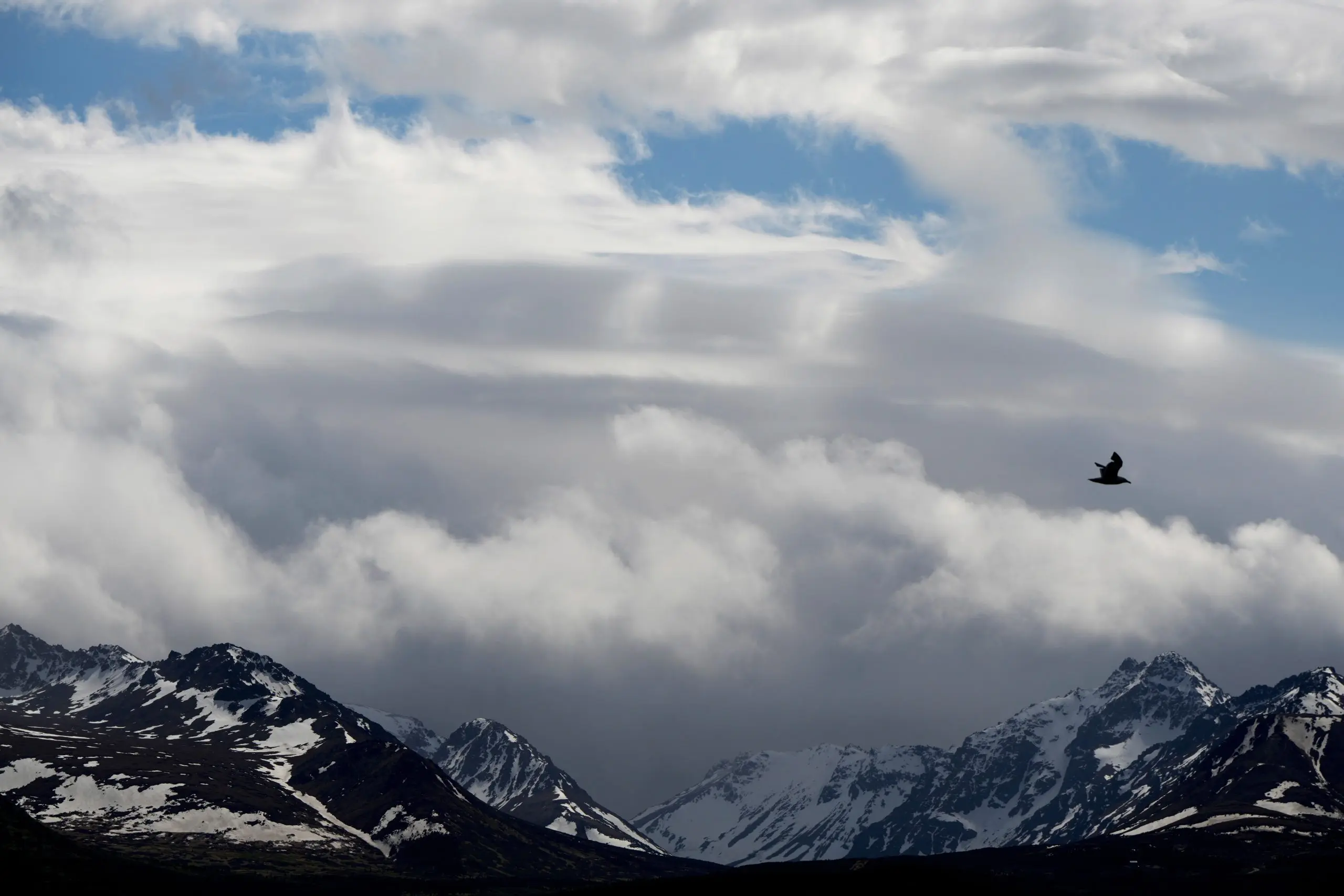 17532406951536119uche59oab-apn-scaled605932