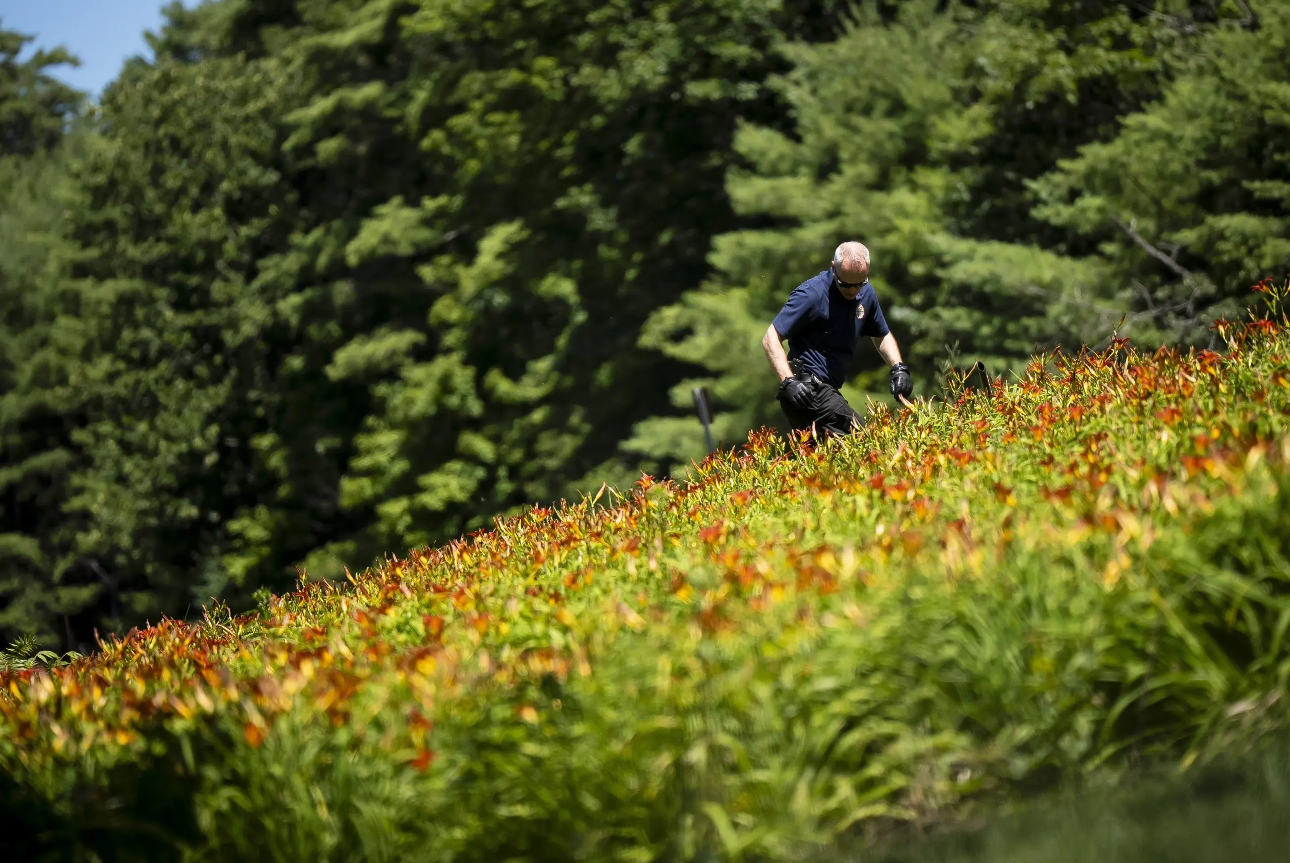 1753895930885580gso3hlvtg0-apn-scaled470921