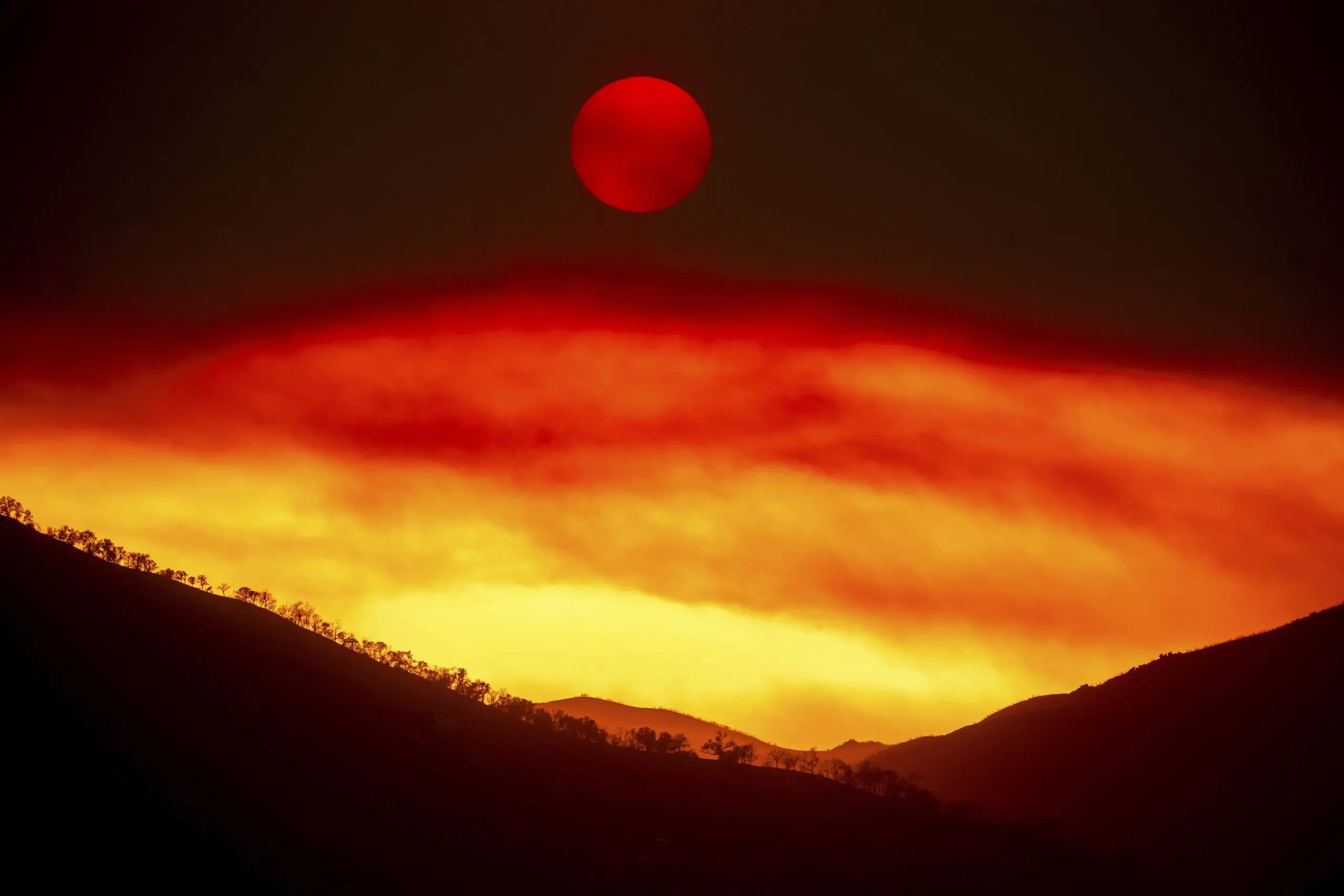 1754407102561600wqi9zvznoj-apn-scaled256724