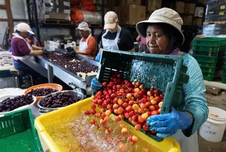 1755338705390898glfiz9htba804886