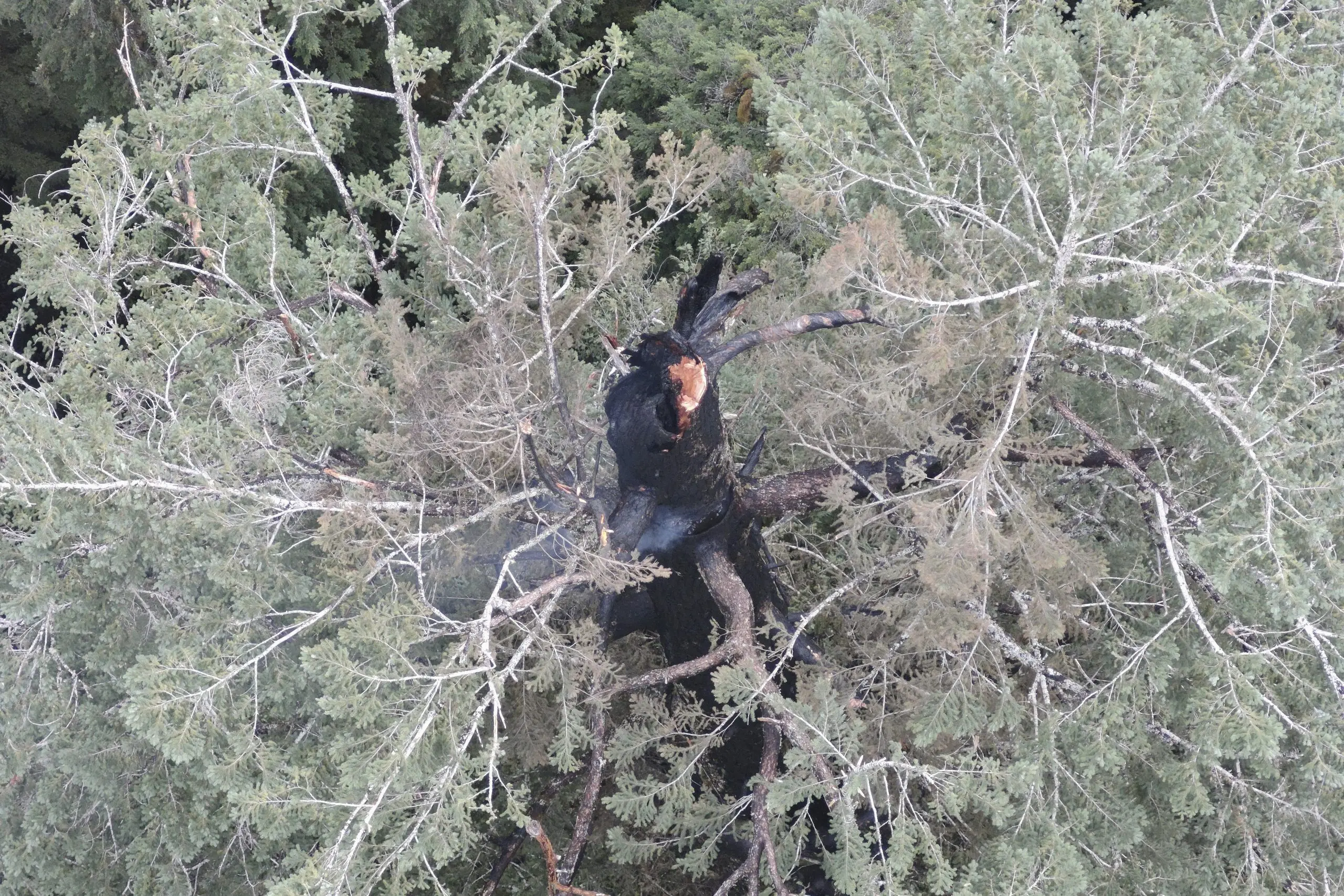 1755645505276879rirkshhof6-apn-scaled474769