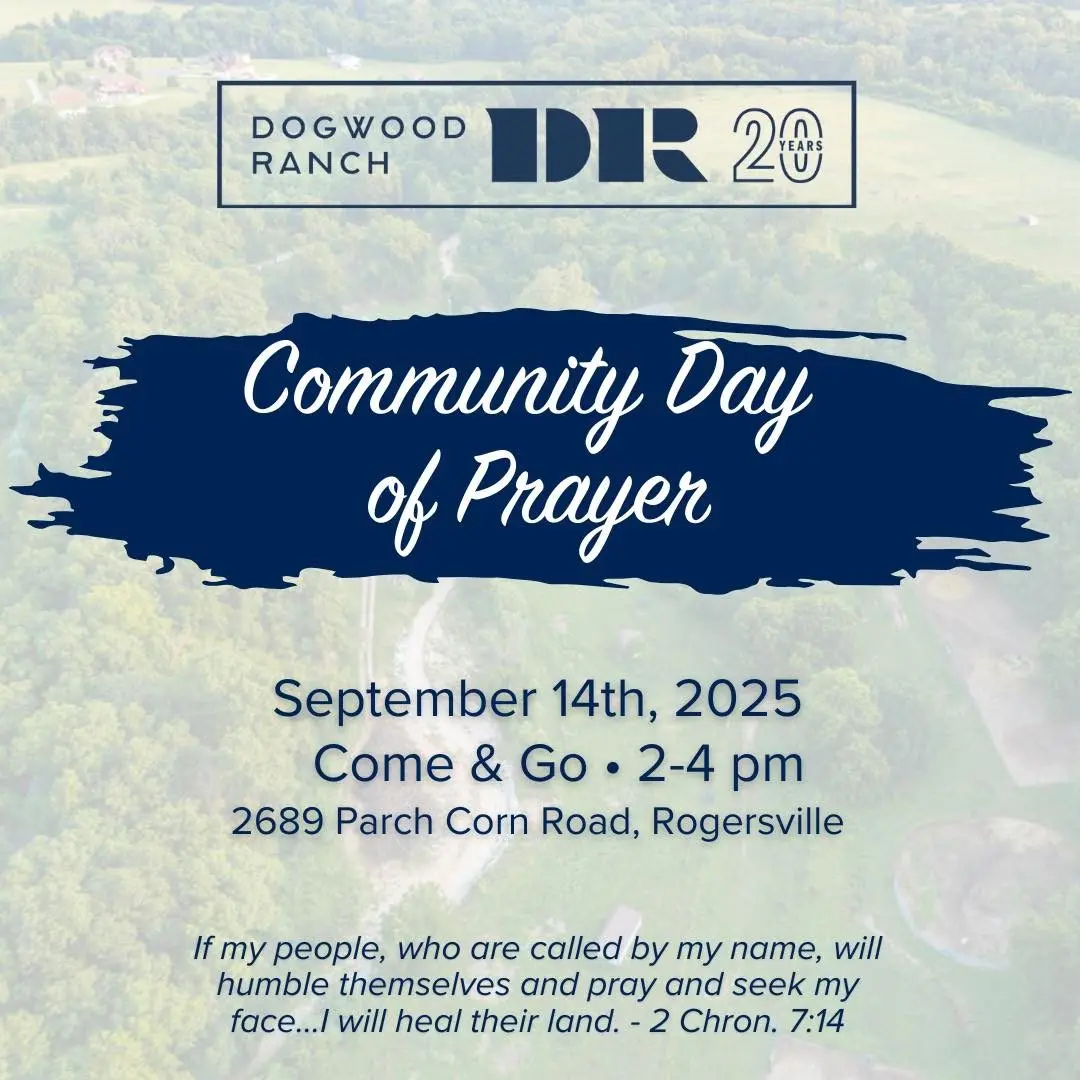 538532764_1183455503819407_6006532445839860289_n