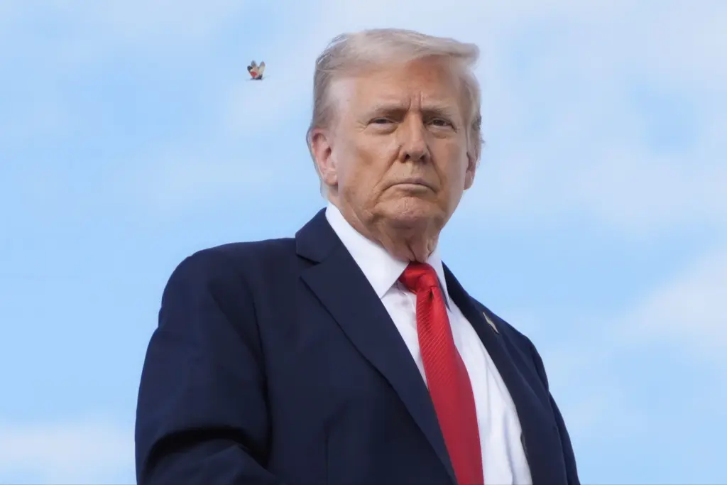 1757683103728177eljgip9drh-apn-scaled399864