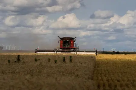 1758171921120036vap6glsddt39561