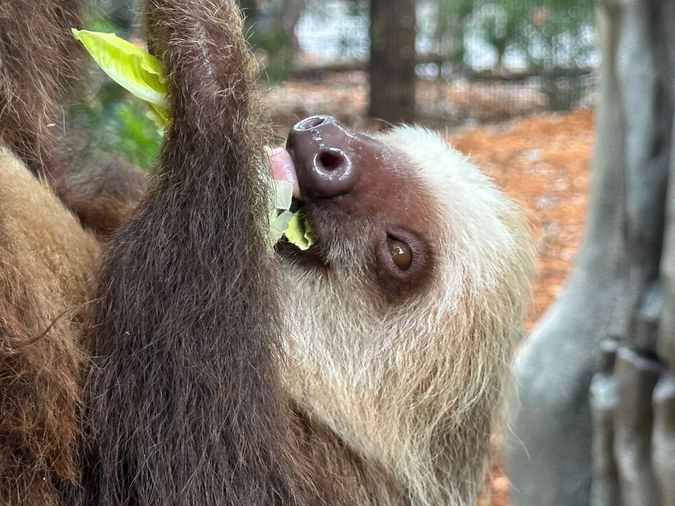 1758946732330596wkja7hd8jy-apn-scaled515744