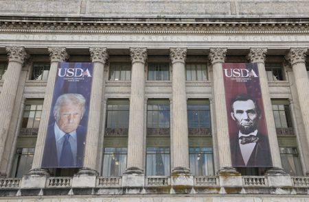 1759262737145570fu64nh3xyg479569