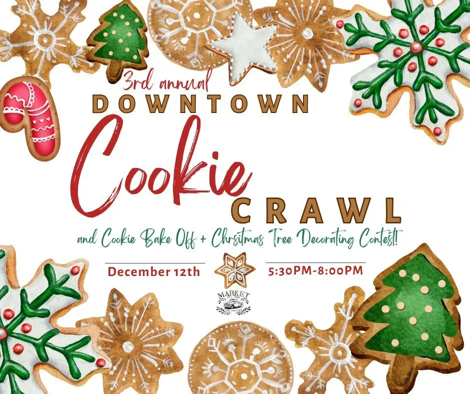 540745860_1112200057773584_3553090448161757660_n