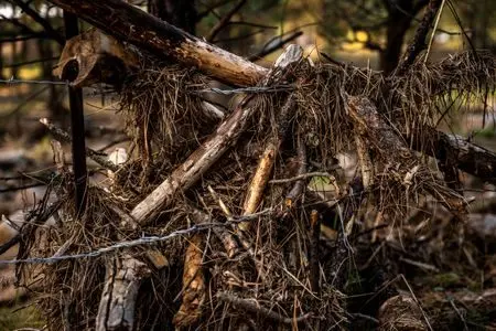 1761131129300835jpr0slycgv814115