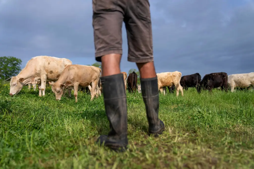 1761149951639326qmyqsklmi0-apn-scaled787365