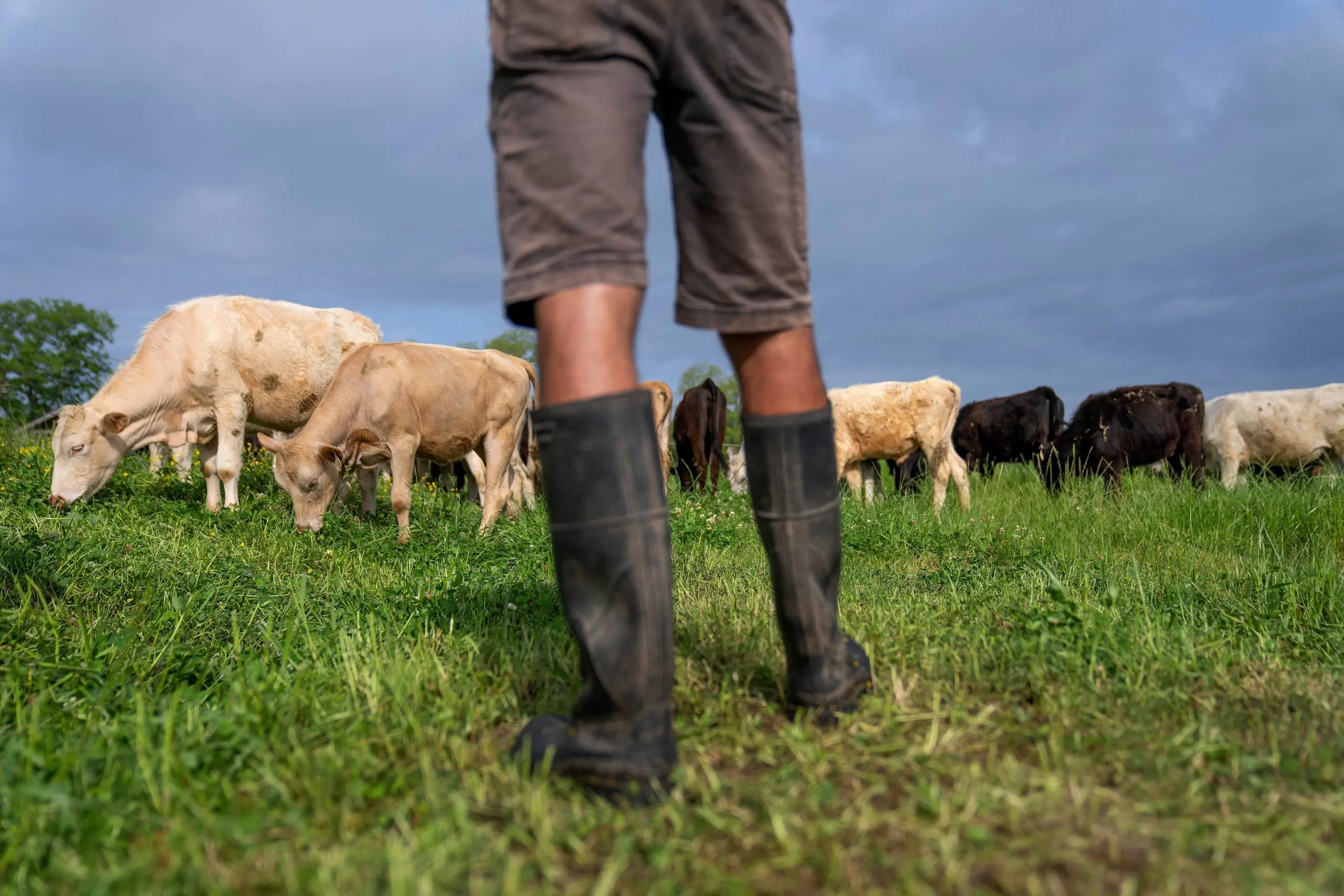 1761149951639326qmyqsklmi0-apn-scaled787365