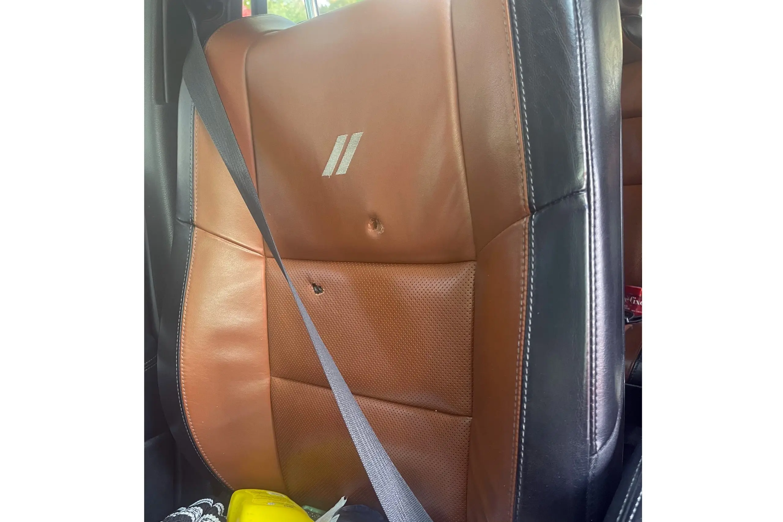 1761686290457705mfw5qku1wu-apn-scaled378869