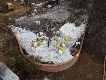 1761757528311thewfmgyi5389713