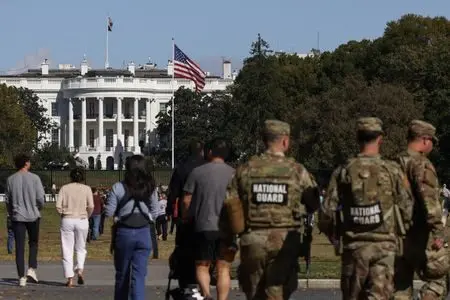 1761858335138633ighzi5dwsp645195