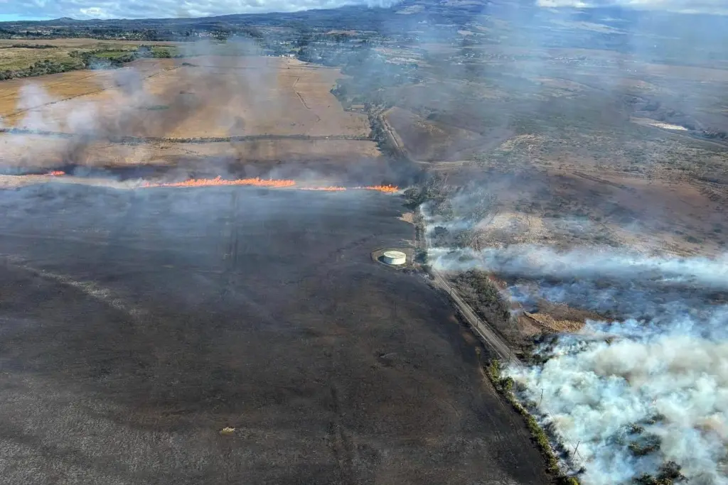 1762384699221468at59pc66q5-apn929558