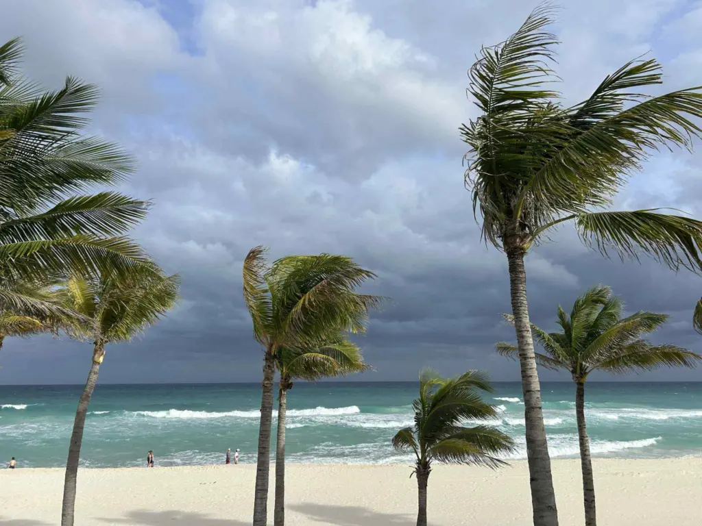 0dc9c510-29fd-4e5a-9e9f-c60e3e713f20