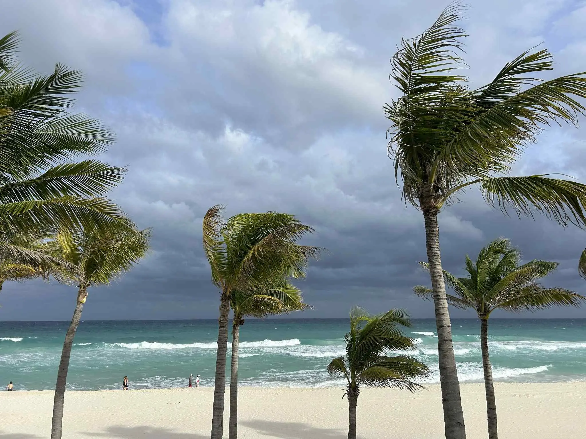 0dc9c510-29fd-4e5a-9e9f-c60e3e713f20