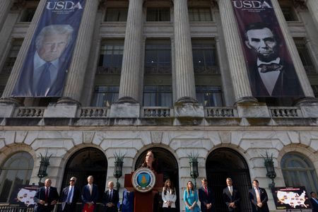 1763042732685310d5et8xgbvg350317