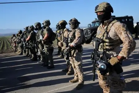 1763417135613721at98gedfim986487