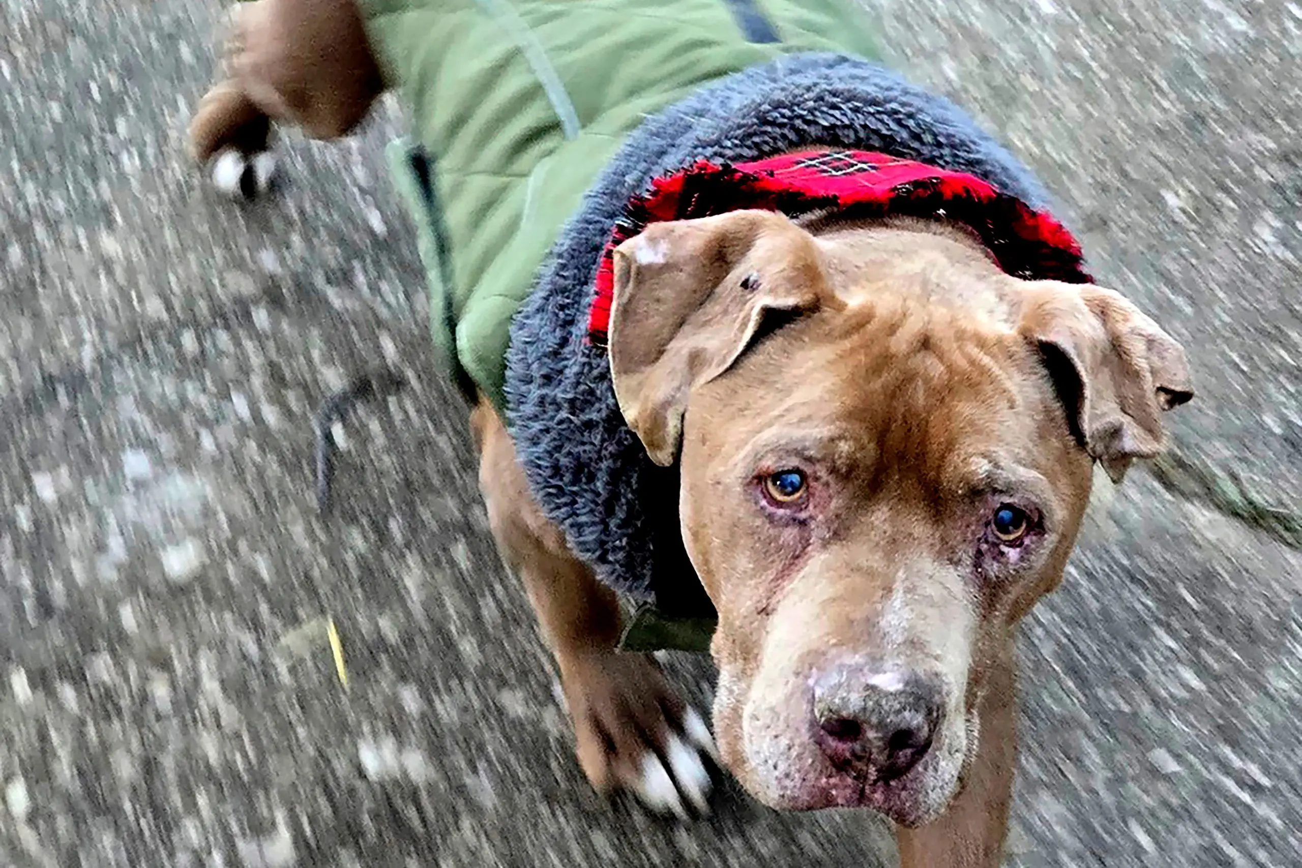 1764011899207254qs3kdlf4x1-apn-scaled485201