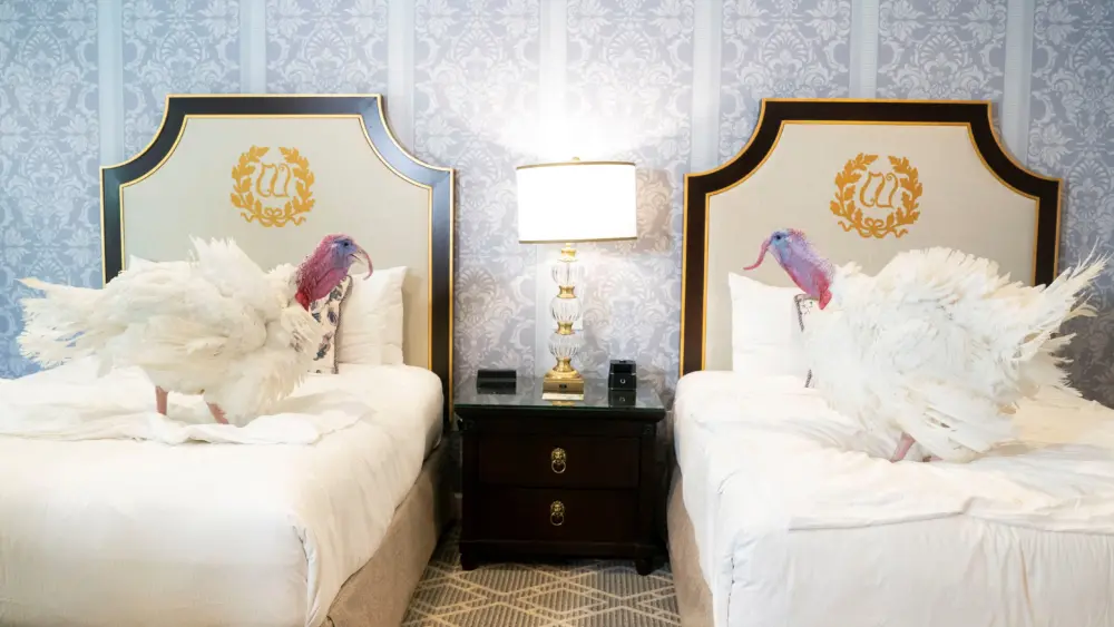 Nick Reed’s Must Read Headlines – 11.26.25