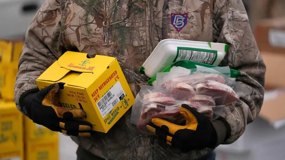 1764595094689459mezedugyyo-apn401989