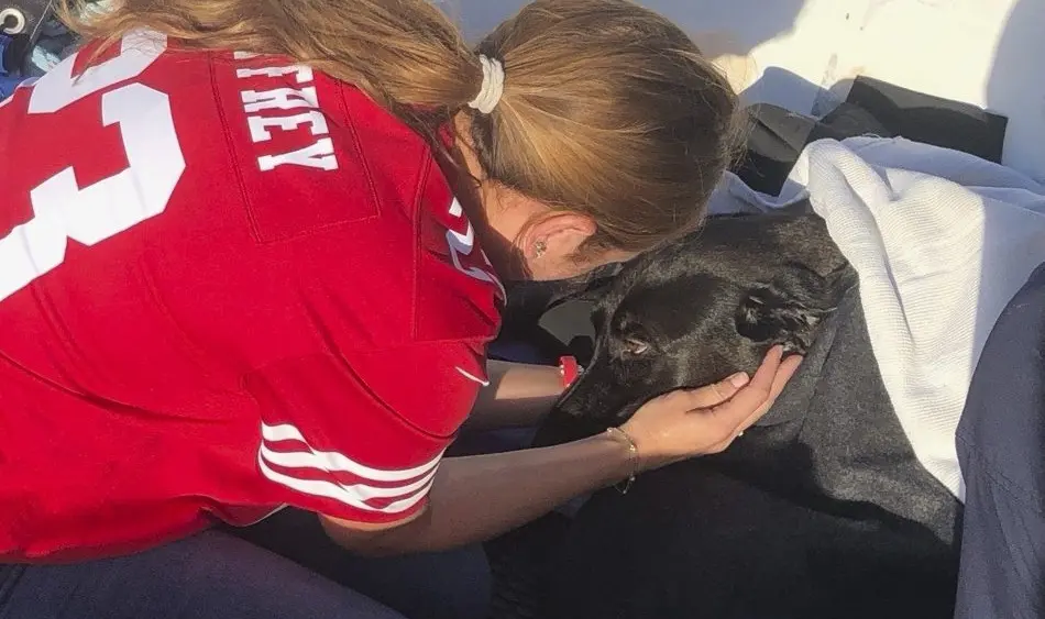 17649010919431214ziexmruh8-apn178943