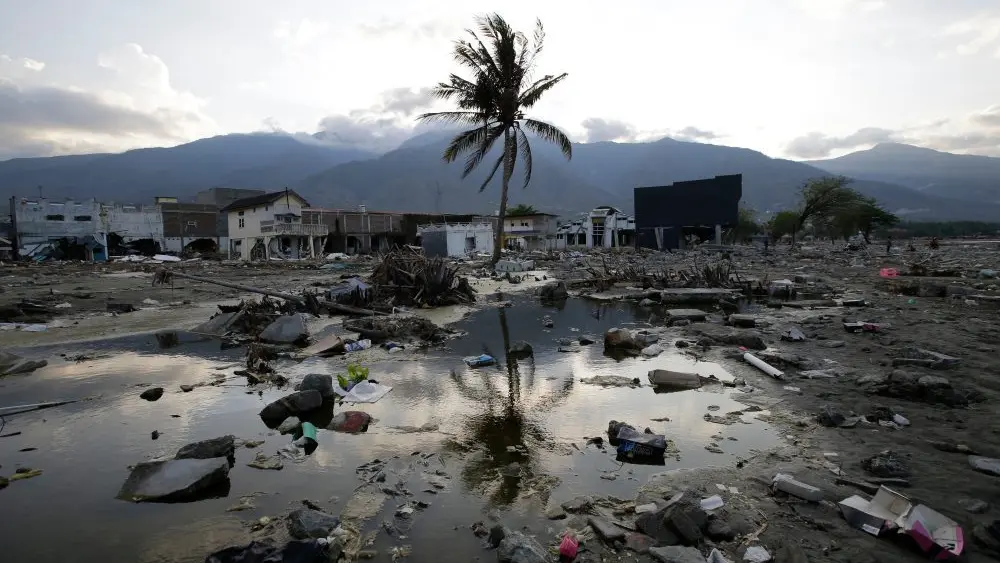 176499829477093610wyllo3wi-apn368451