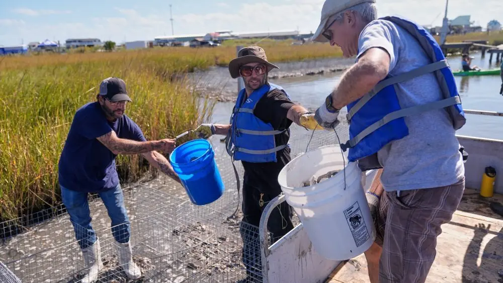 1765030693953854qk3u6dn00z-apn859767