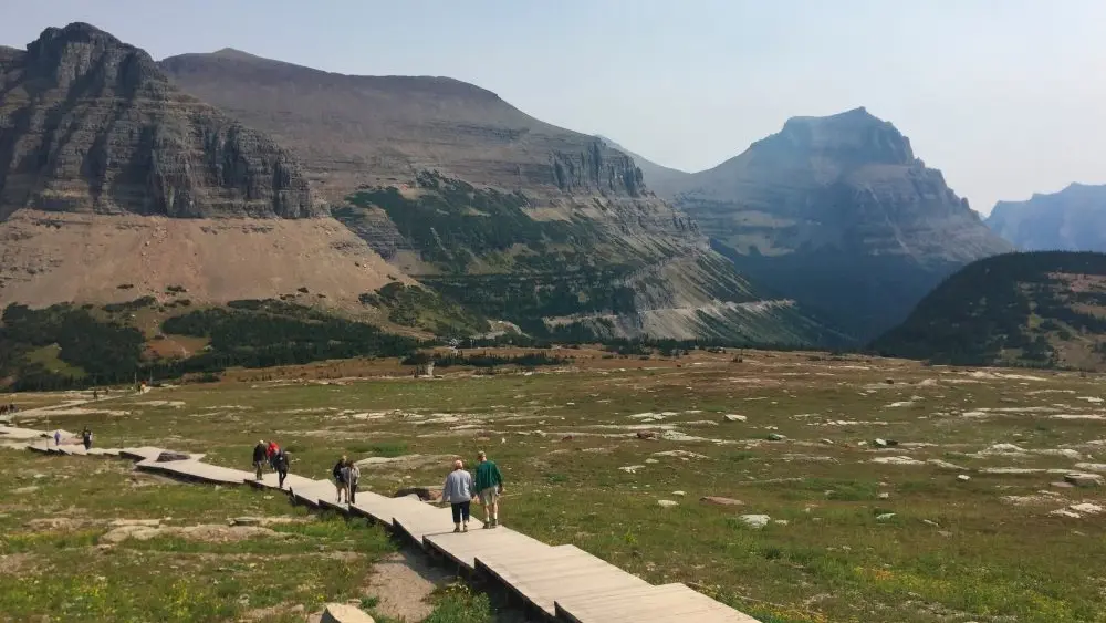 176505949689072pqhwf8uilj-apn422501