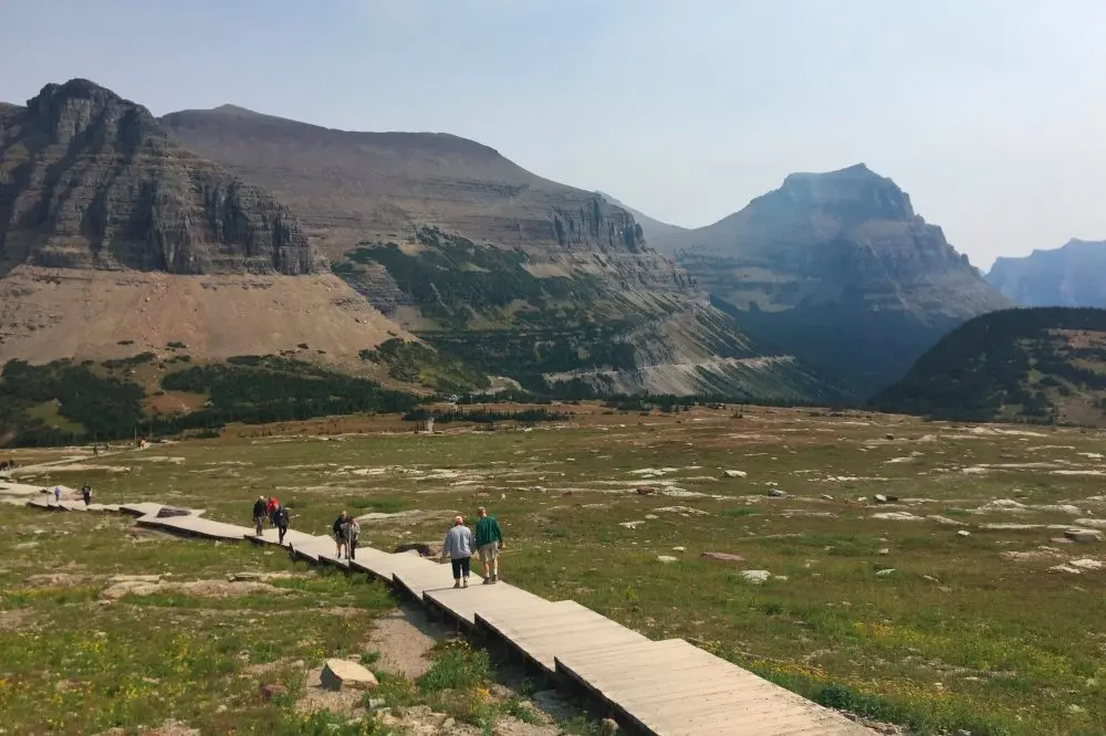 176505949689072pqhwf8uilj-apn422501