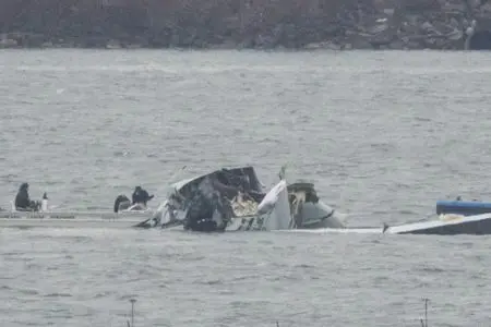 176555914058608gmmakiq2vg811795