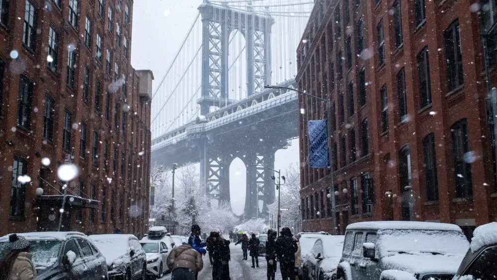 17657398946649468txhosbp8v-apn987935